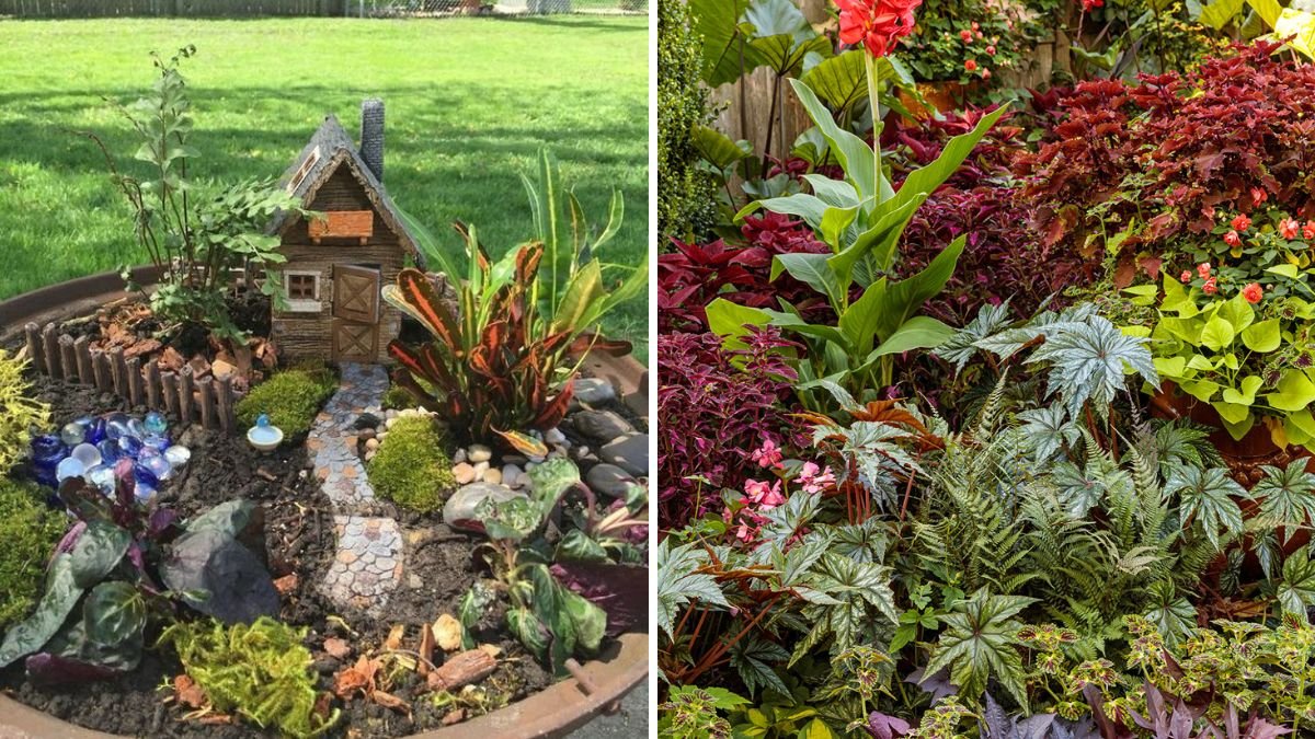 Outdoor Gardening Ideas: Transform Your Backyard into a Lush Green Paradise