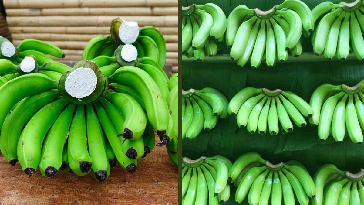 How To Preserve Fresh Bananas for Years and Make Delicious Cakes Anytime at Home