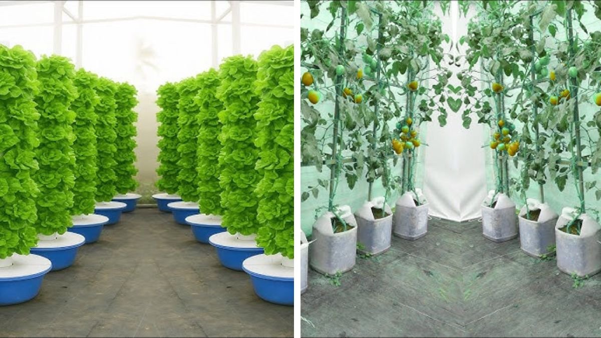 No Soil, No Space: Vertical Vegetable Growing Ideas Right at Home