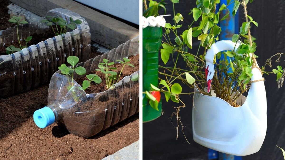 Just Plastic Bottles and Walls – I Don’t Need to Go to the Supermarket Anymore