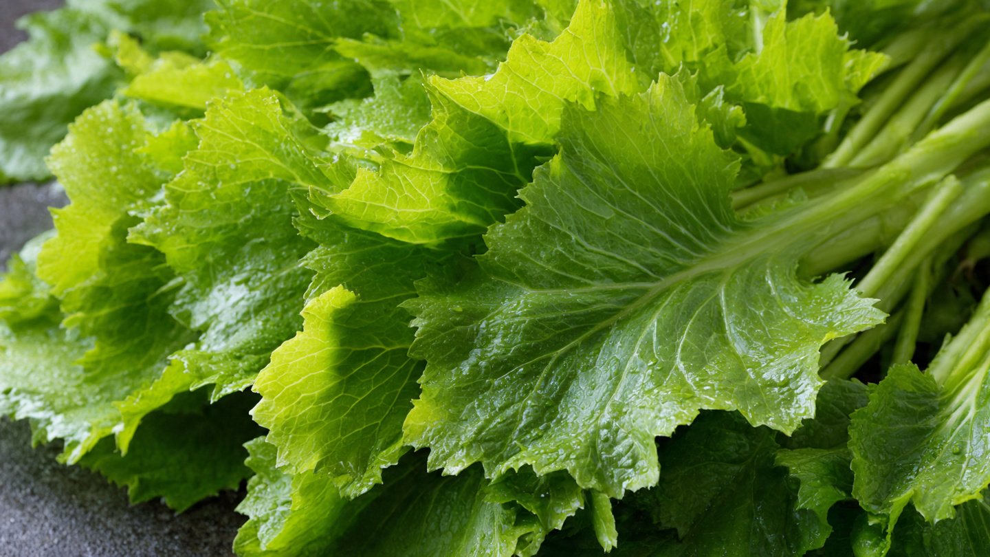 Discover the Secret Techniques for Easily Growing Flavorful Mustard Greens During the Cool Season