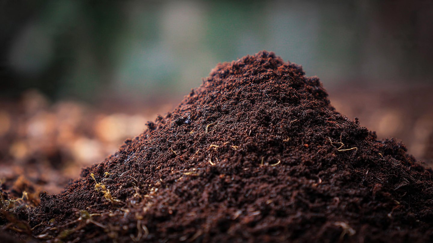 Composting Dryness Effects on Microbial Activity and Nutrient Breakdown