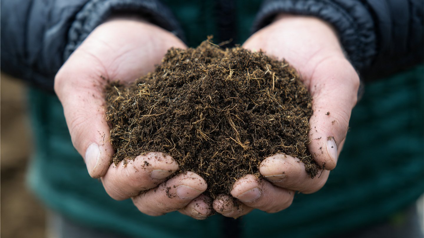 Effects of Completely Dried Out Compost on Soil Health