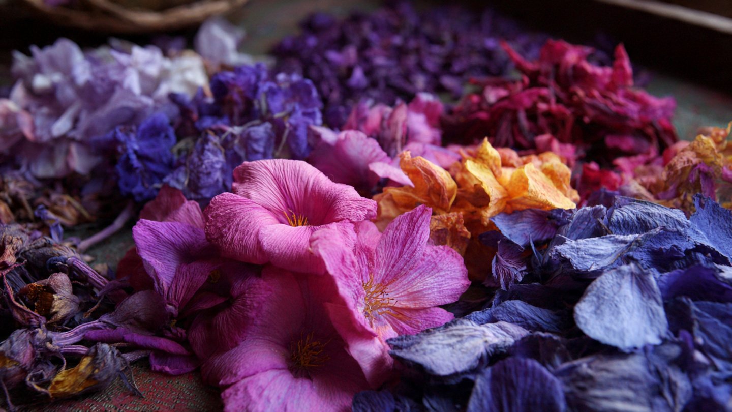 The Most Fascinating Flowers to Grow for Natural Fabric Dyes