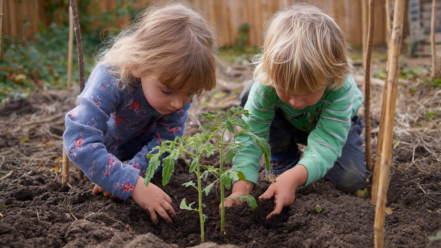 How Can You Effectively Support Heavy Monstera Stems?